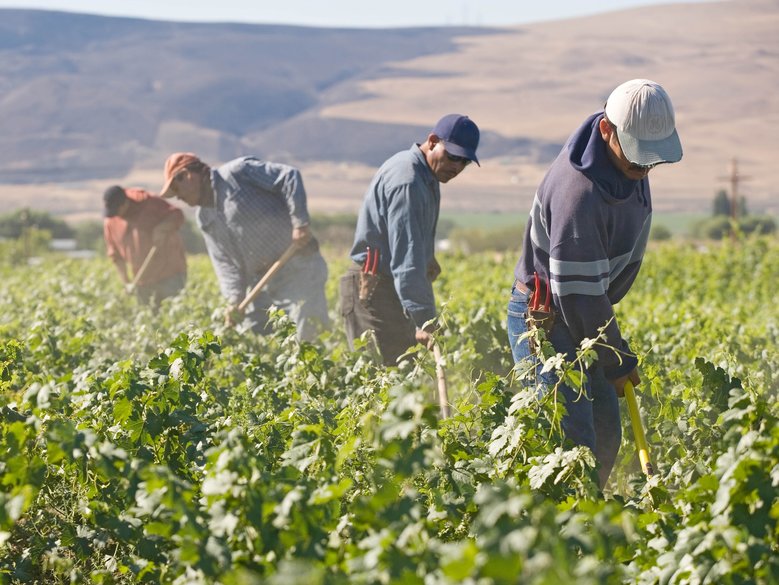 latino-doctor-provides-a-haven-for-migrant-farmworkers